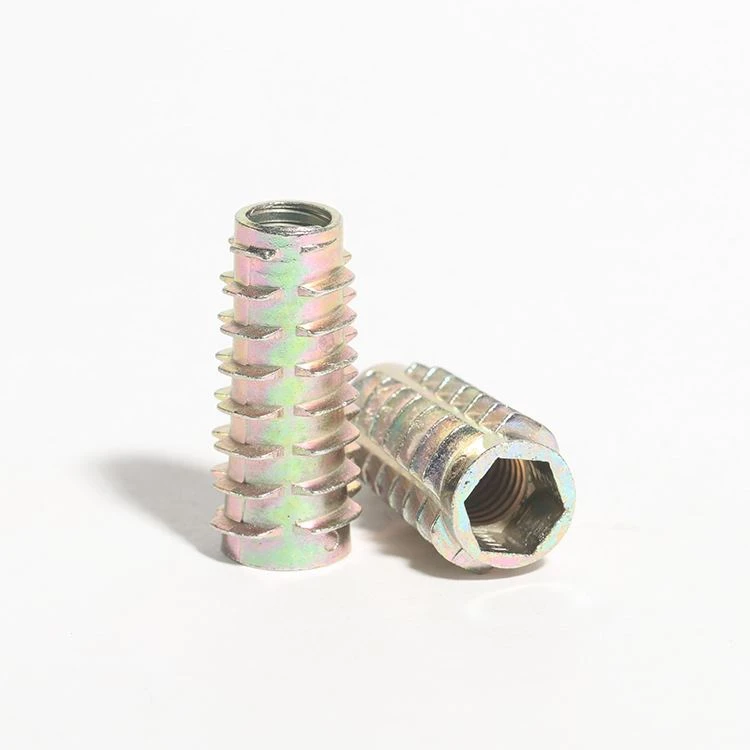 Rooj tog Insert txiv ntseej